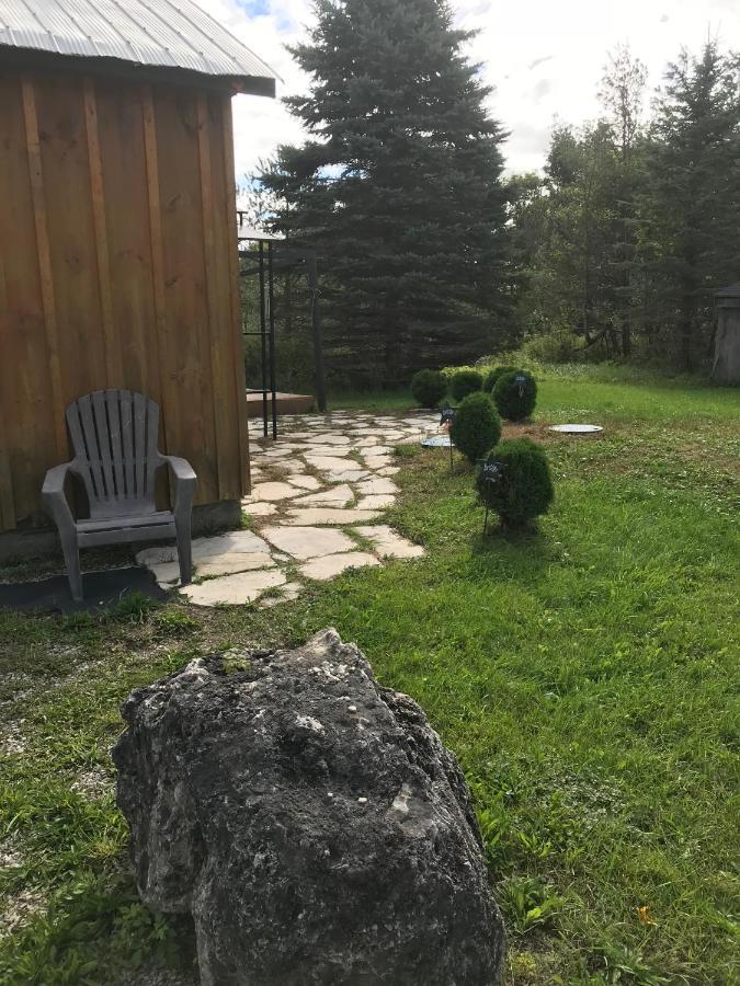 Dreamers Writing Farm, 3 Wooded Acres, Hepworth Sauble Beach Exterior foto