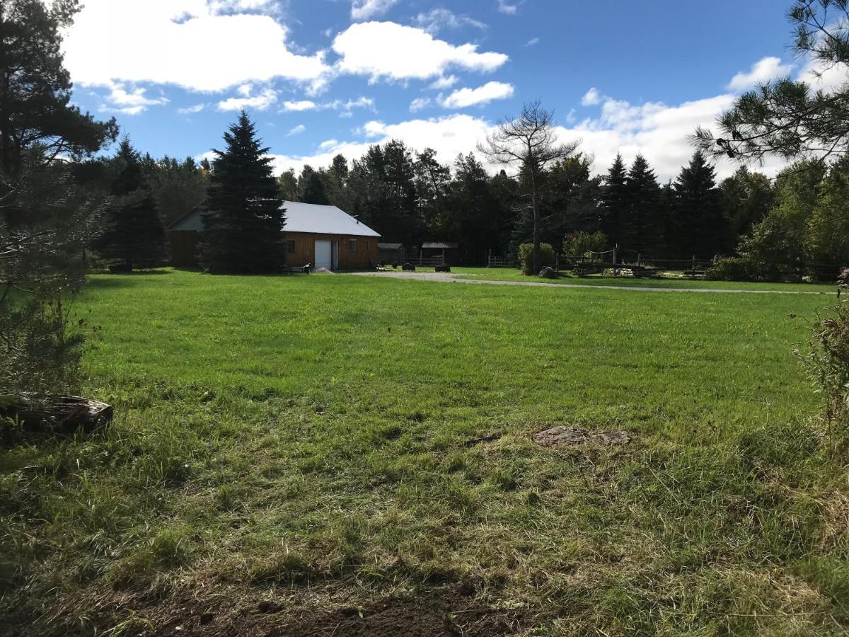 Dreamers Writing Farm, 3 Wooded Acres, Hepworth Sauble Beach Exterior foto