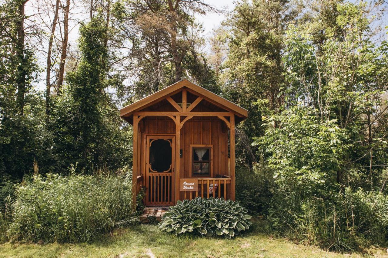 Dreamers Writing Farm, 3 Wooded Acres, Hepworth Sauble Beach Exterior foto